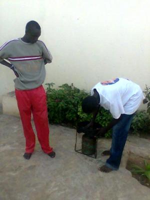 vieux et tamba