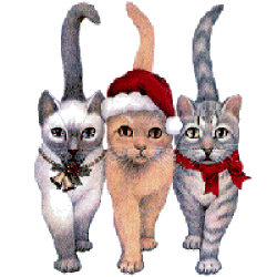les gardients de mon blog